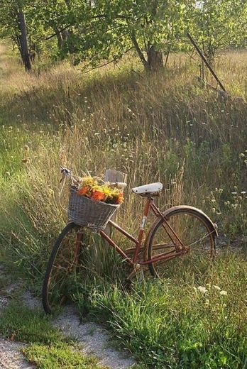 🚴🏻‍♀️🌸☀️