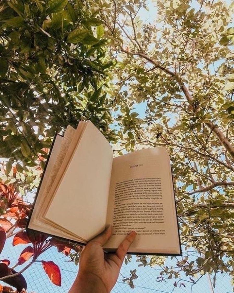 Social Ler 📖 