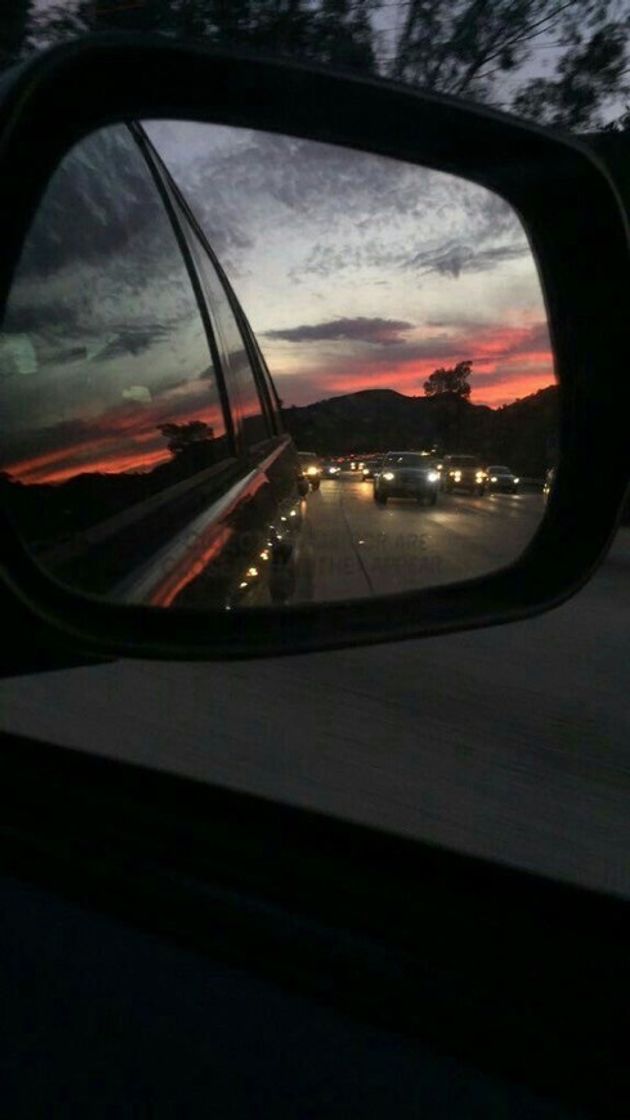 Social Paisagem 