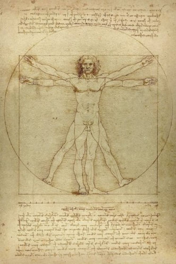 Book Leonardo da Vinci Notebooks - The Vitruvian Man: 120 College ruled lined