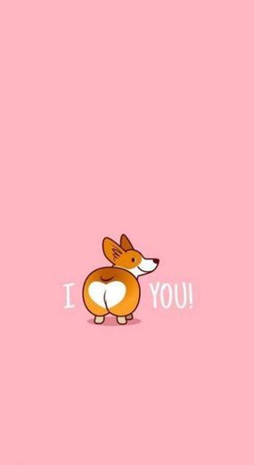 Wallpaper Corgi