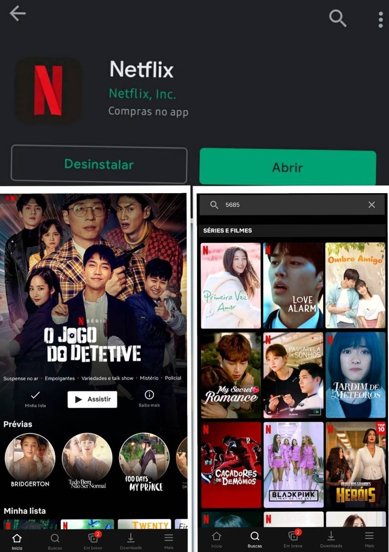 App Netflix