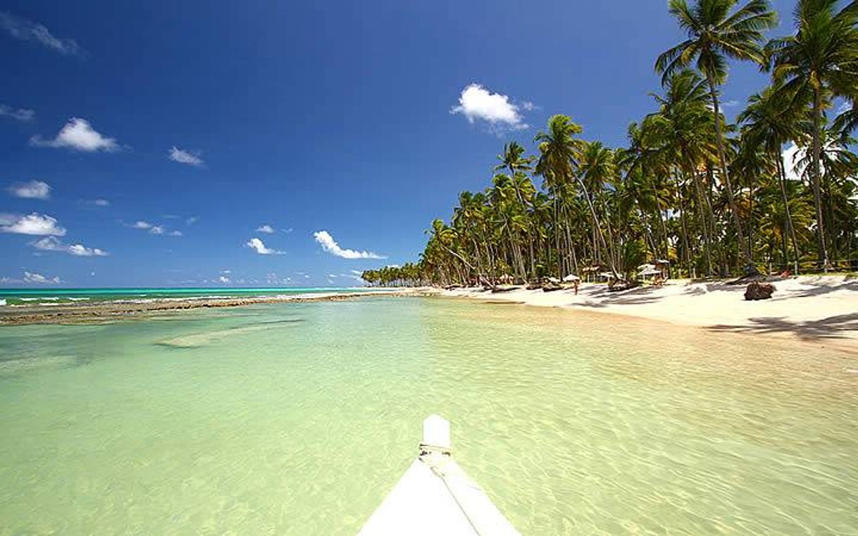 Lugar Praia dos Carneiros