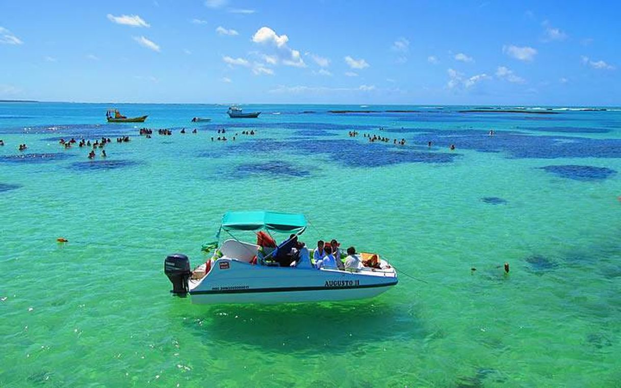 Lugar Praia de Maragogi