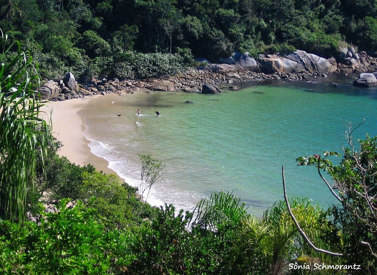 Place Praia do Araça