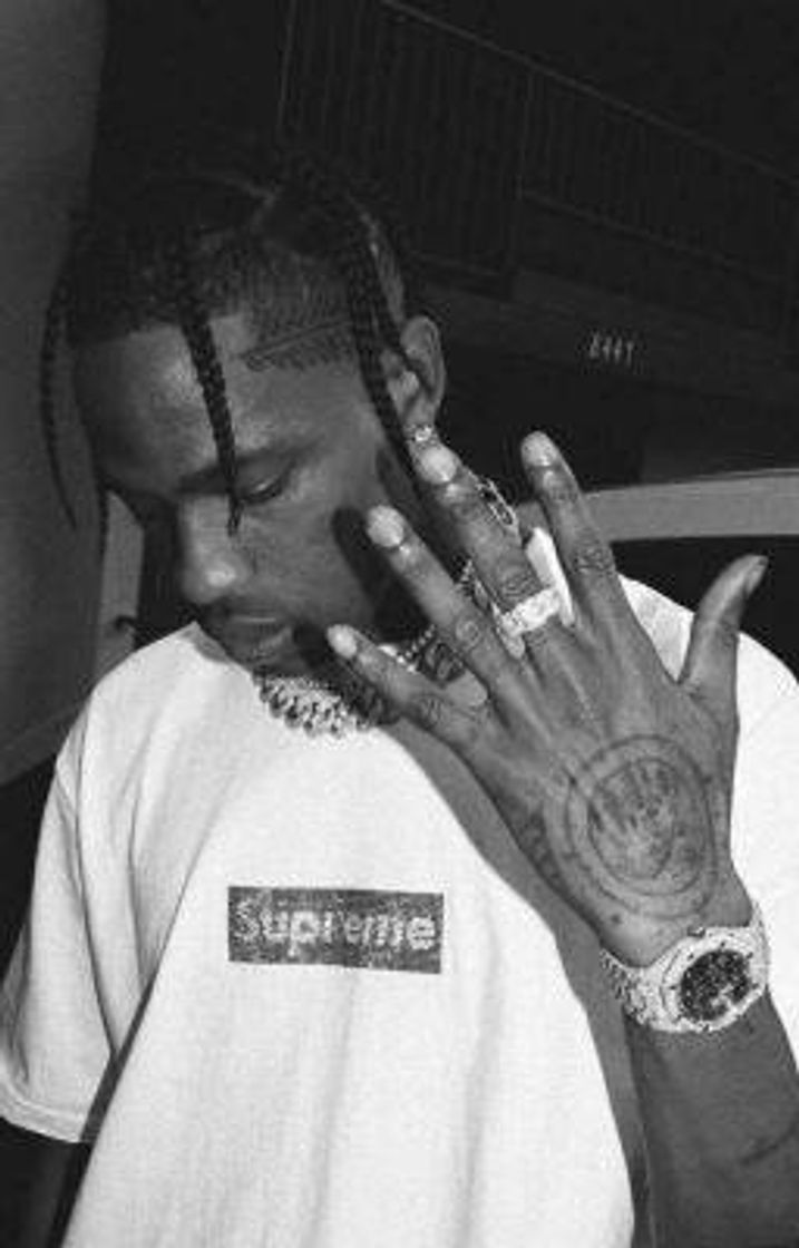 Fashion Travis 