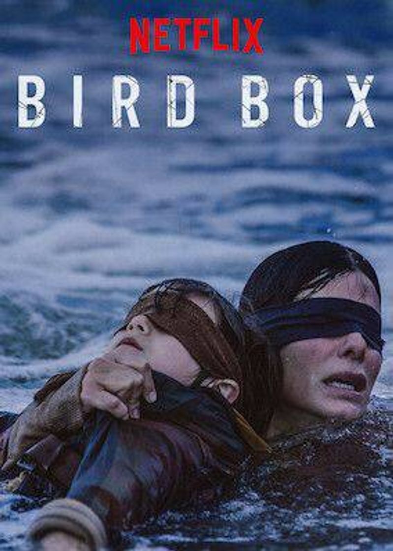 Fashion Bird box