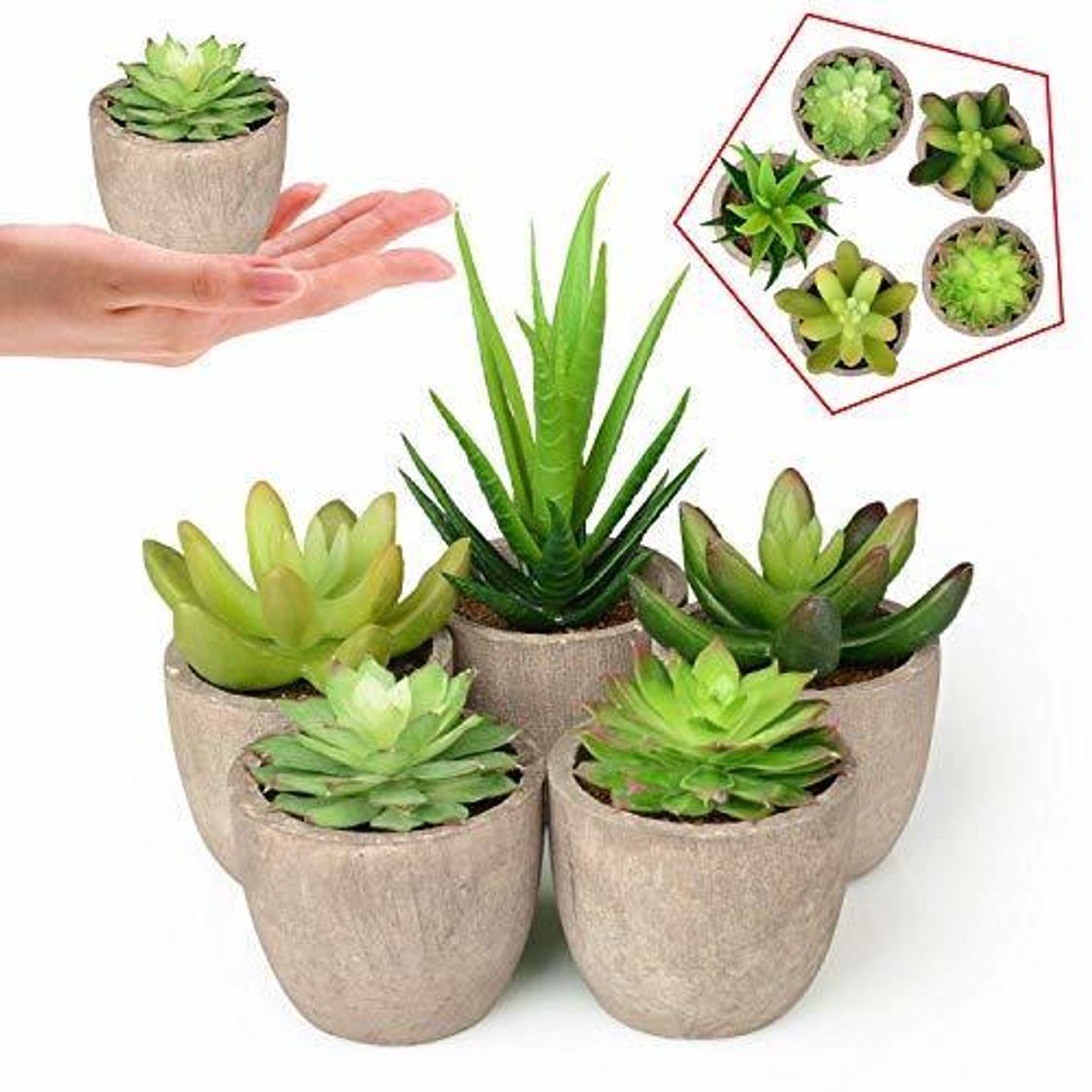 Home Plantas Suculentas Artificiales 5PCS Jardinera Suculenta Falso Plantas de Cactus Faux en