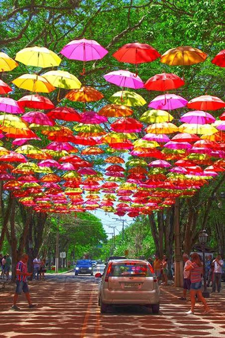 Guarda-chuvas de Holambra - Instalação Artística