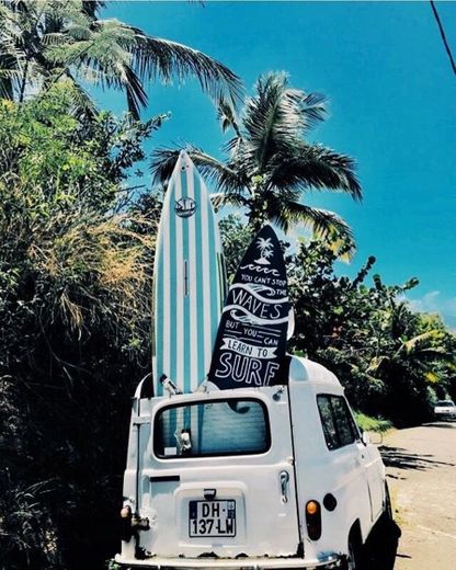 Indo para o surf 🐬💖