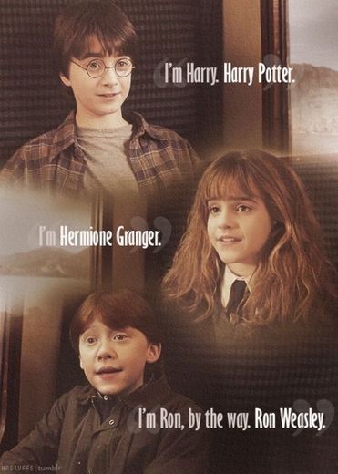 HARRY POTTER