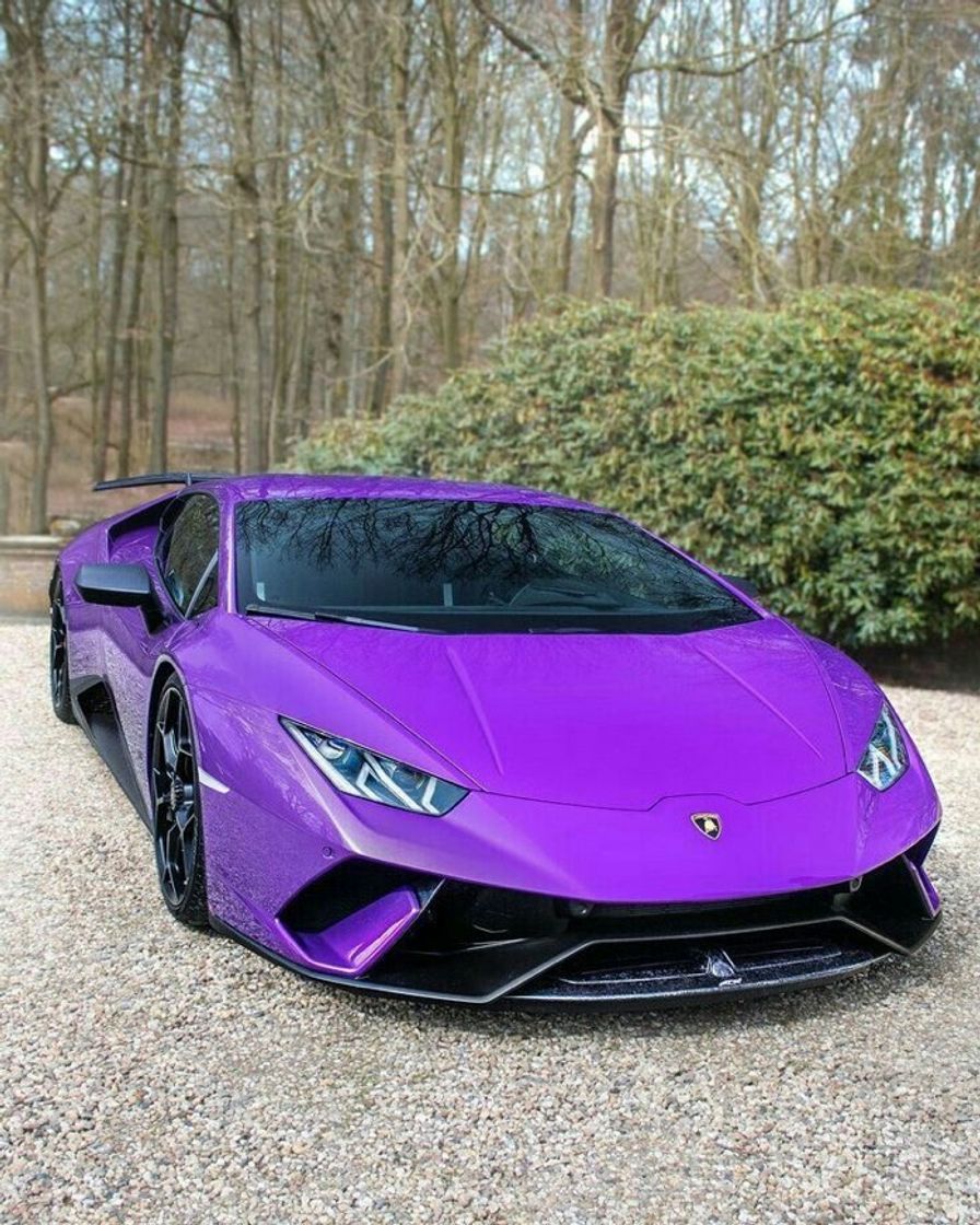 Fashion Lamborghini 