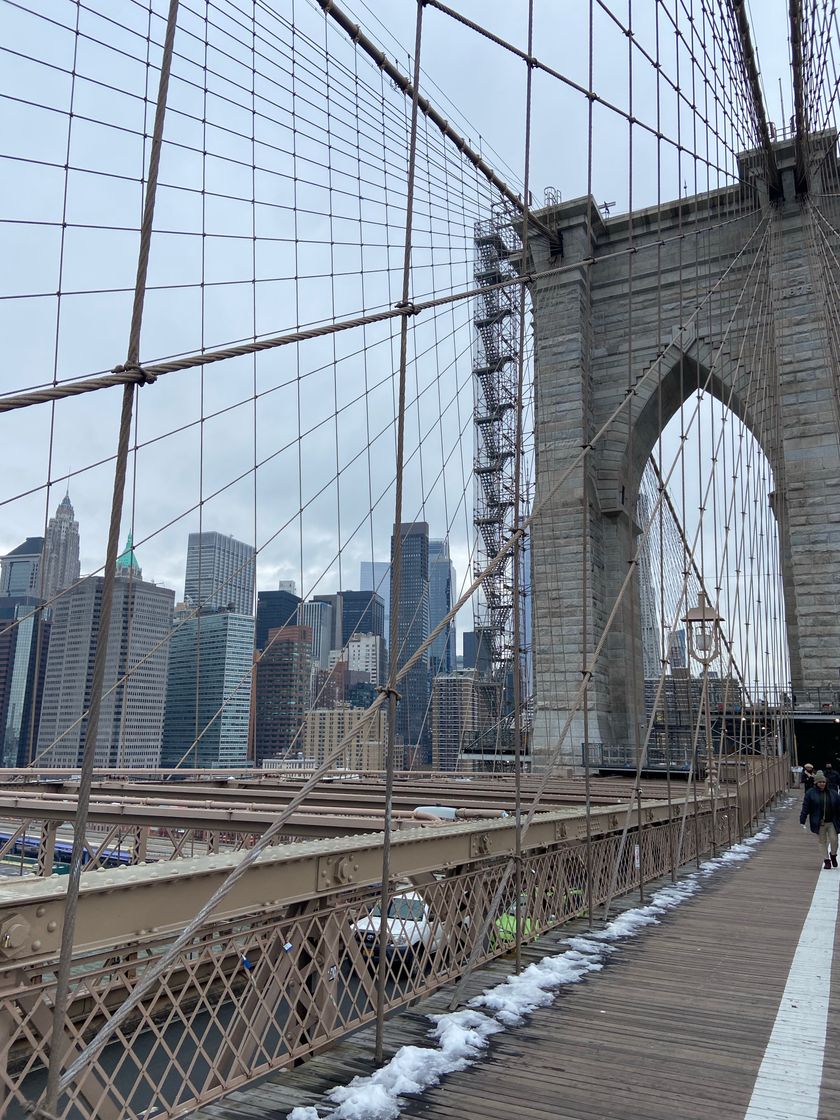 Place Brooklyn Bridge