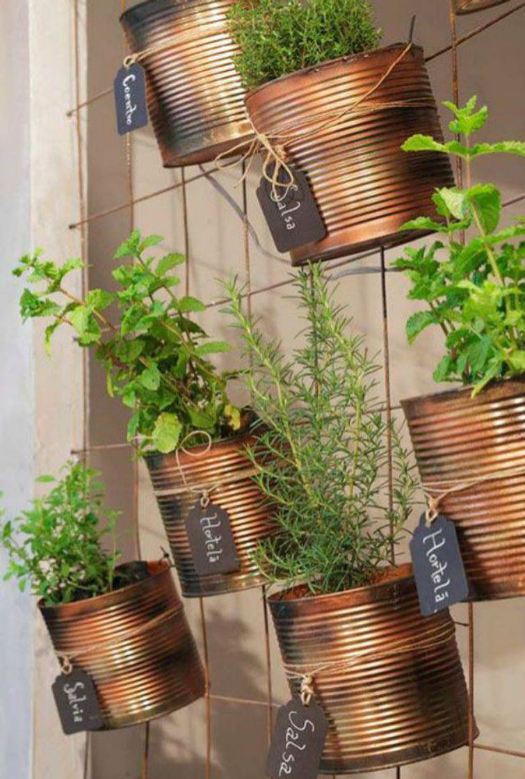 Social Ideias plantas