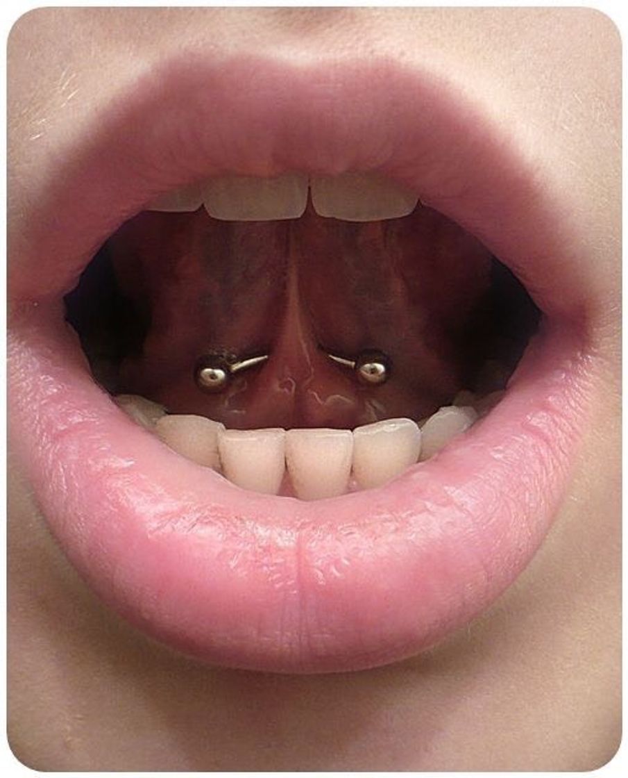 Fashion Piercings 