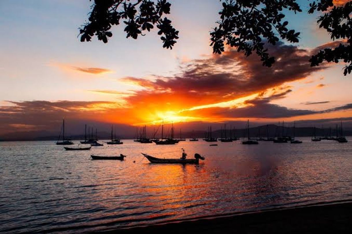 Place Santo Antonio de Lisboa