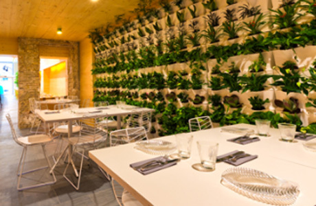 Restaurantes Restaurante Vuelve Carolina