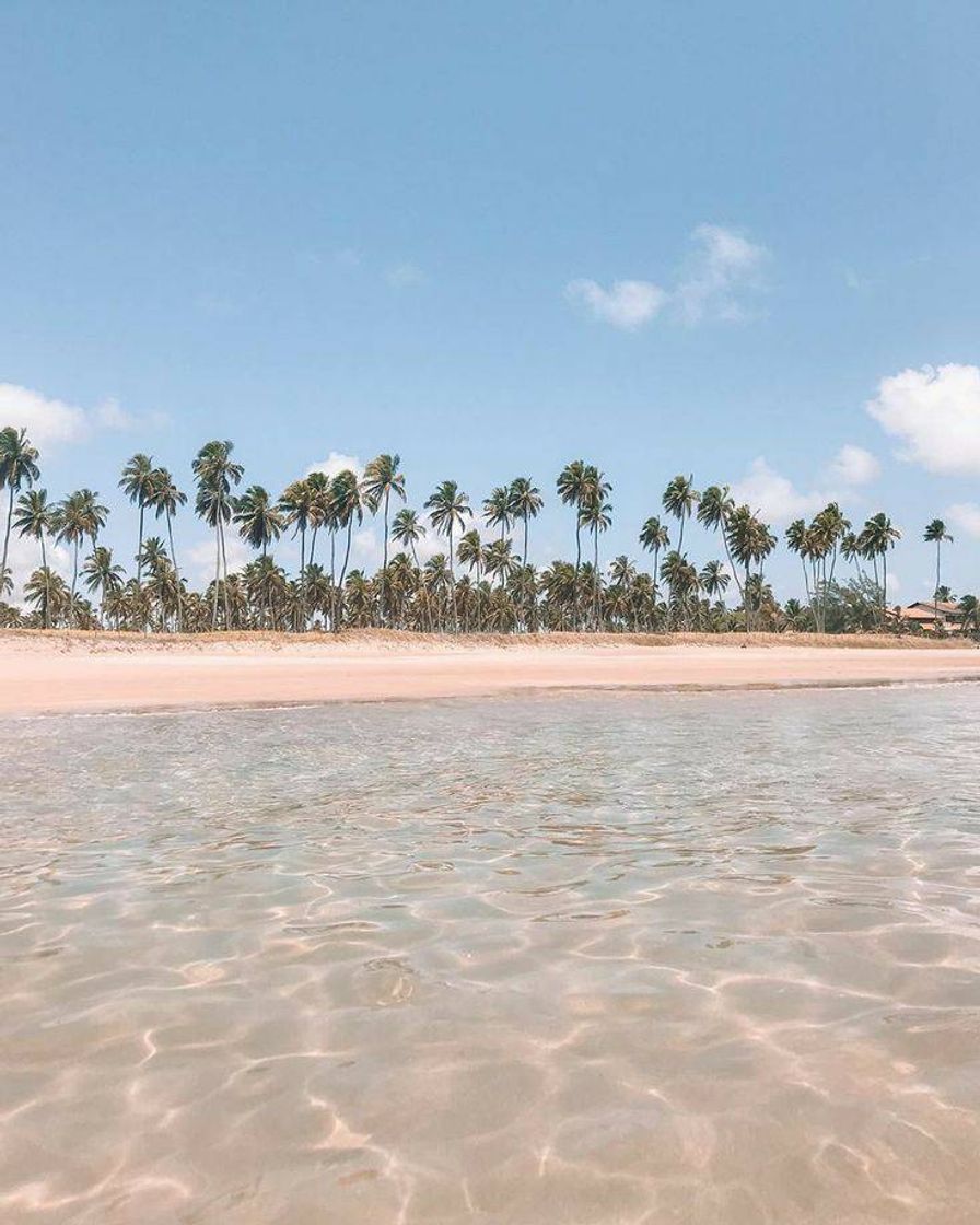 Moda Porto de Galinhas, Pernambuco