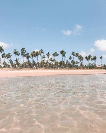 Porto de Galinhas, Pernambuco