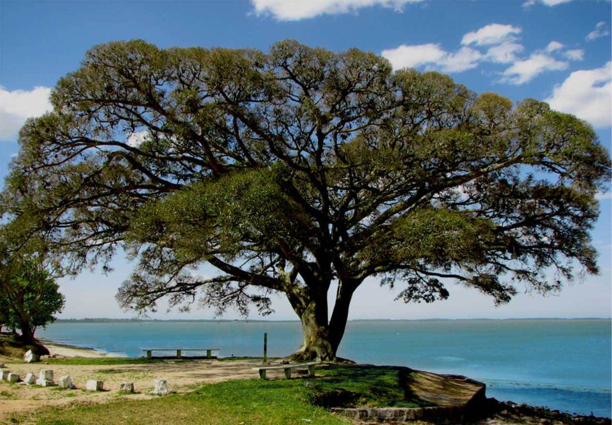 Lugar São Lourenço do Sul