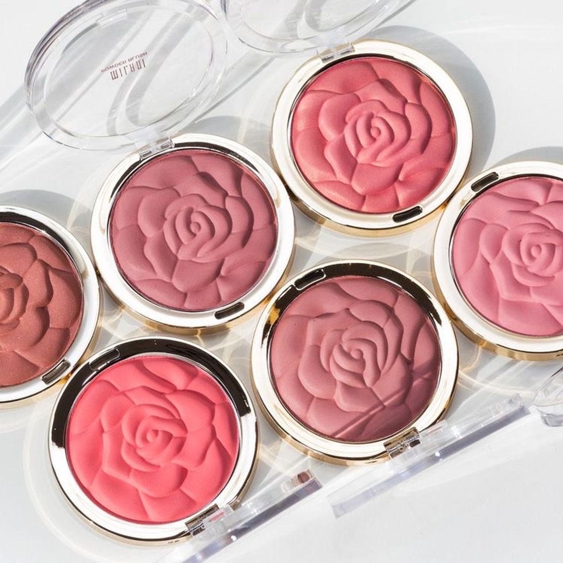 Fashion Blush Rose Petals