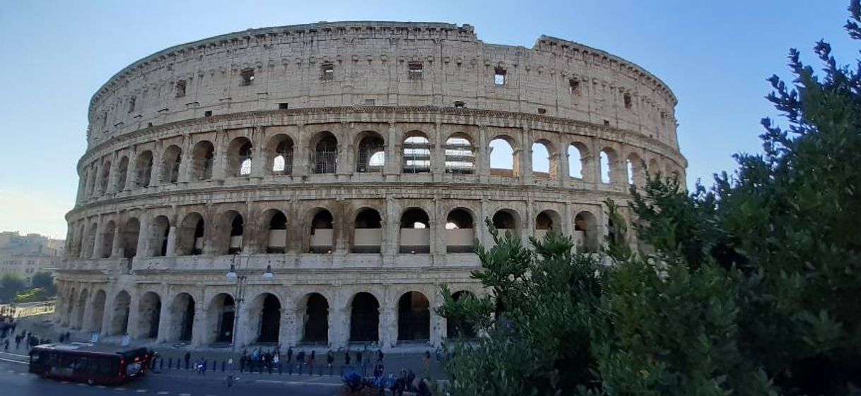 Lugar Coliseo de Roma