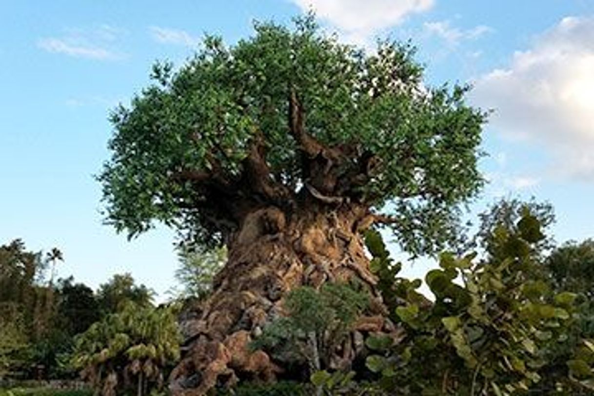 Lugar Animal Kingdom