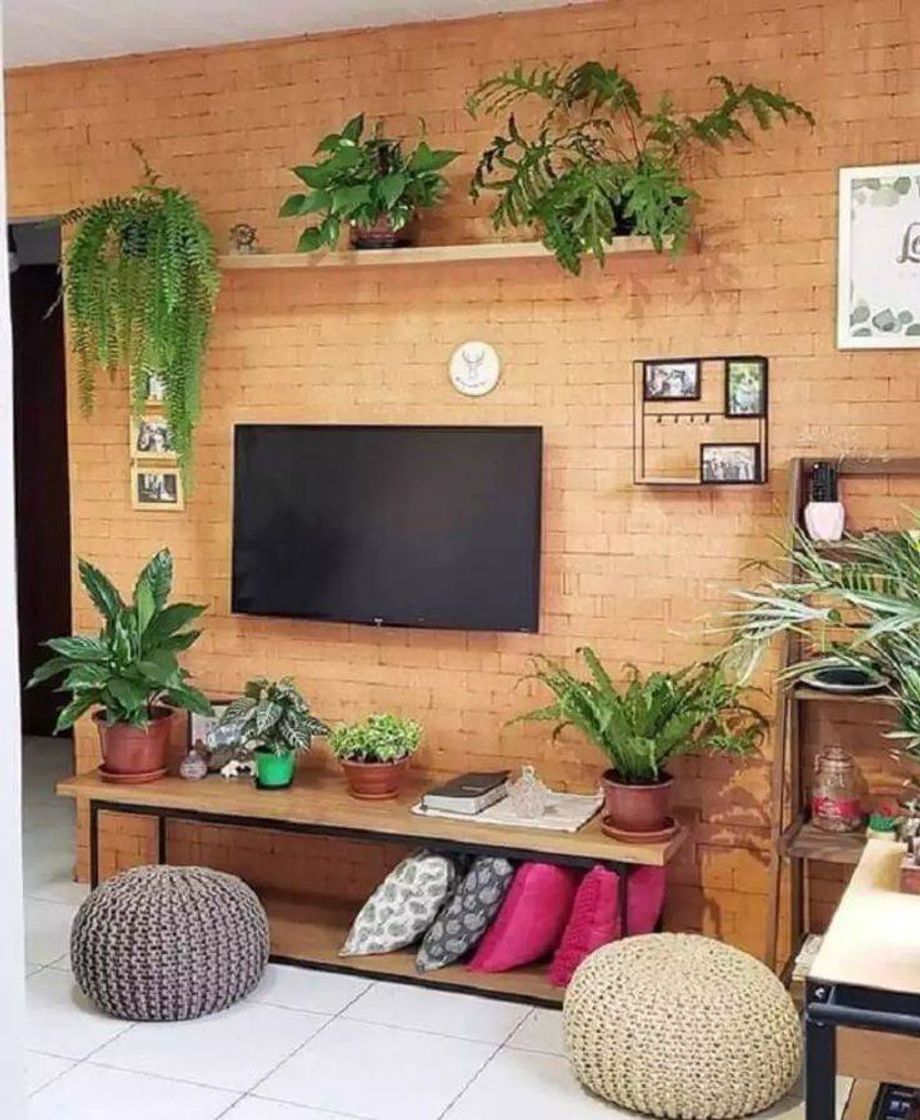 Moda Decorações para sua casa