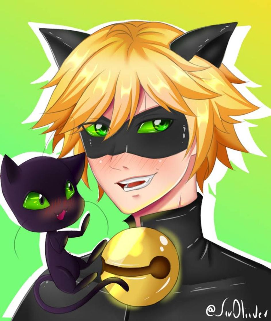 Social Cat Noir - Miraculous Ladybug