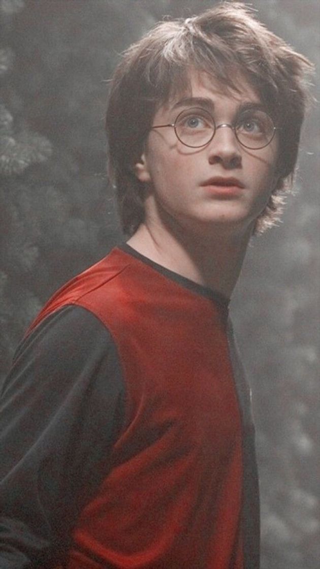 Moda Harry Potter 