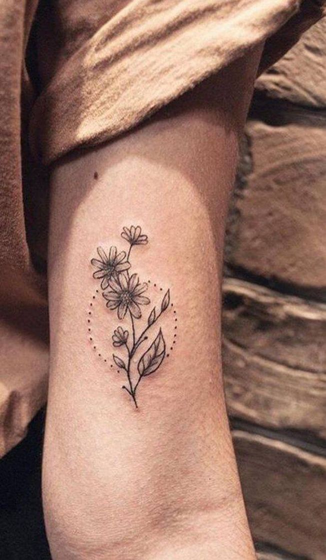 Moda Tatus