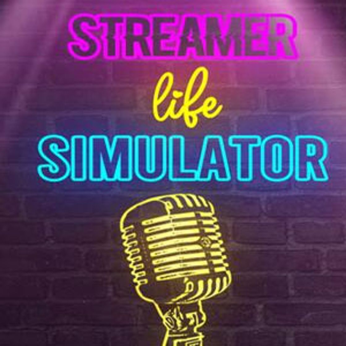 Videogames Streamer Life Simulator