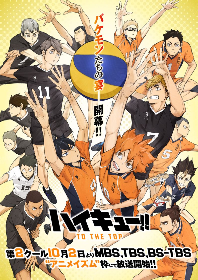 Serie Haikyu!!
