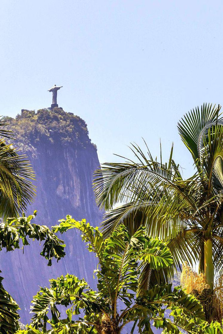 Moda Lugar do RJ 