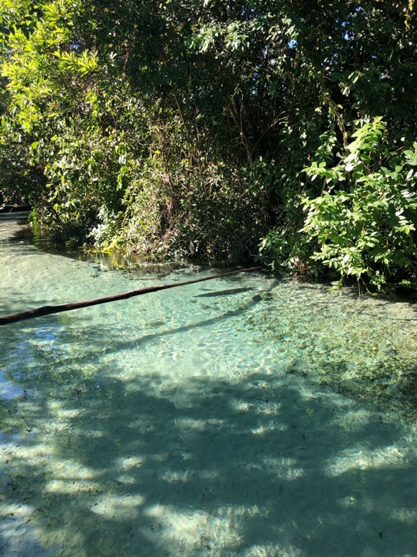 Lugar Rio dos Angicos