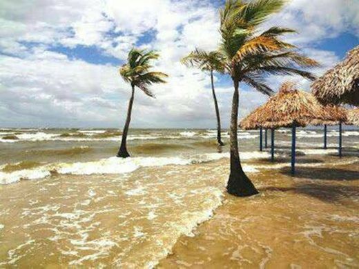 Exótica Ilha do Marajó 