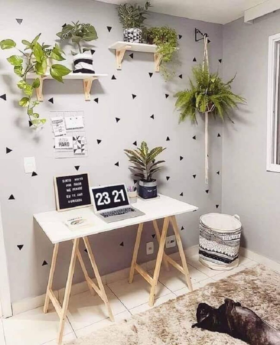 Fashion Decoração com planta 🌿