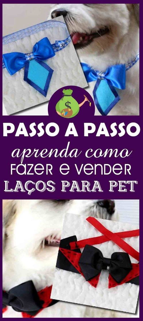 Fashion Para seu pet