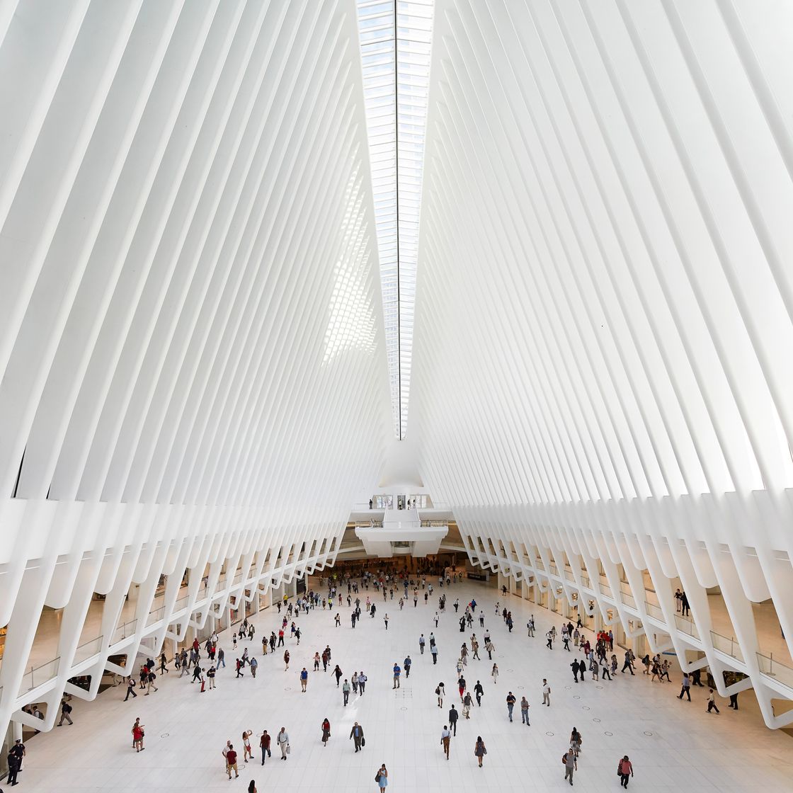 Place The Oculus