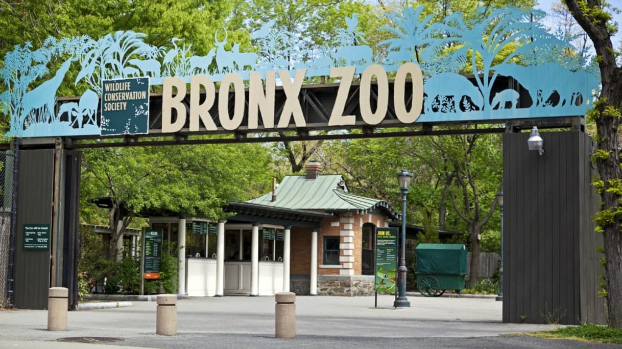 Place Zoológico del Bronx