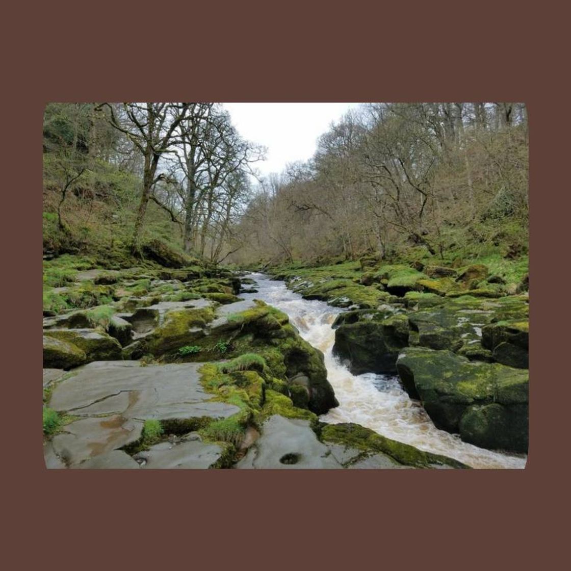 Moda 🏞️rio bolton strid🏞️