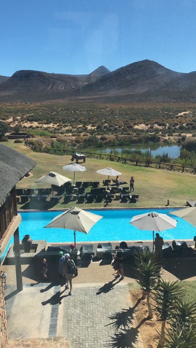 Fashion Hotel to safari in cape town