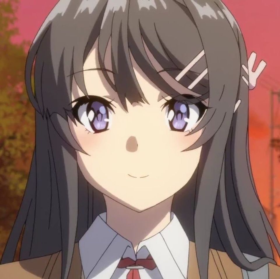 Fashion icons bunny girl senpai 