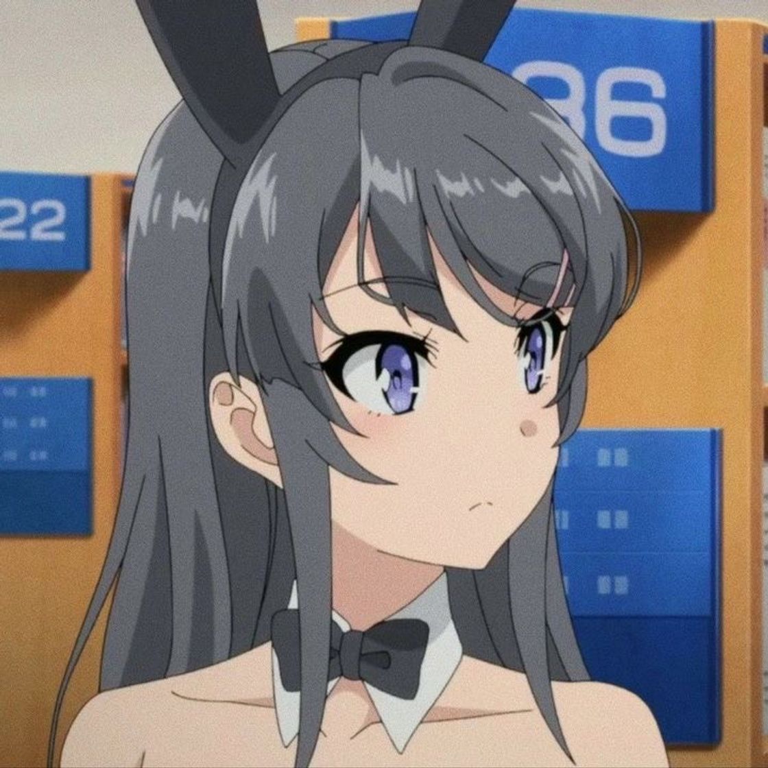 Serie Seishun Buta Yarou wa Bunny Girl Senpai no Yume wo Minai