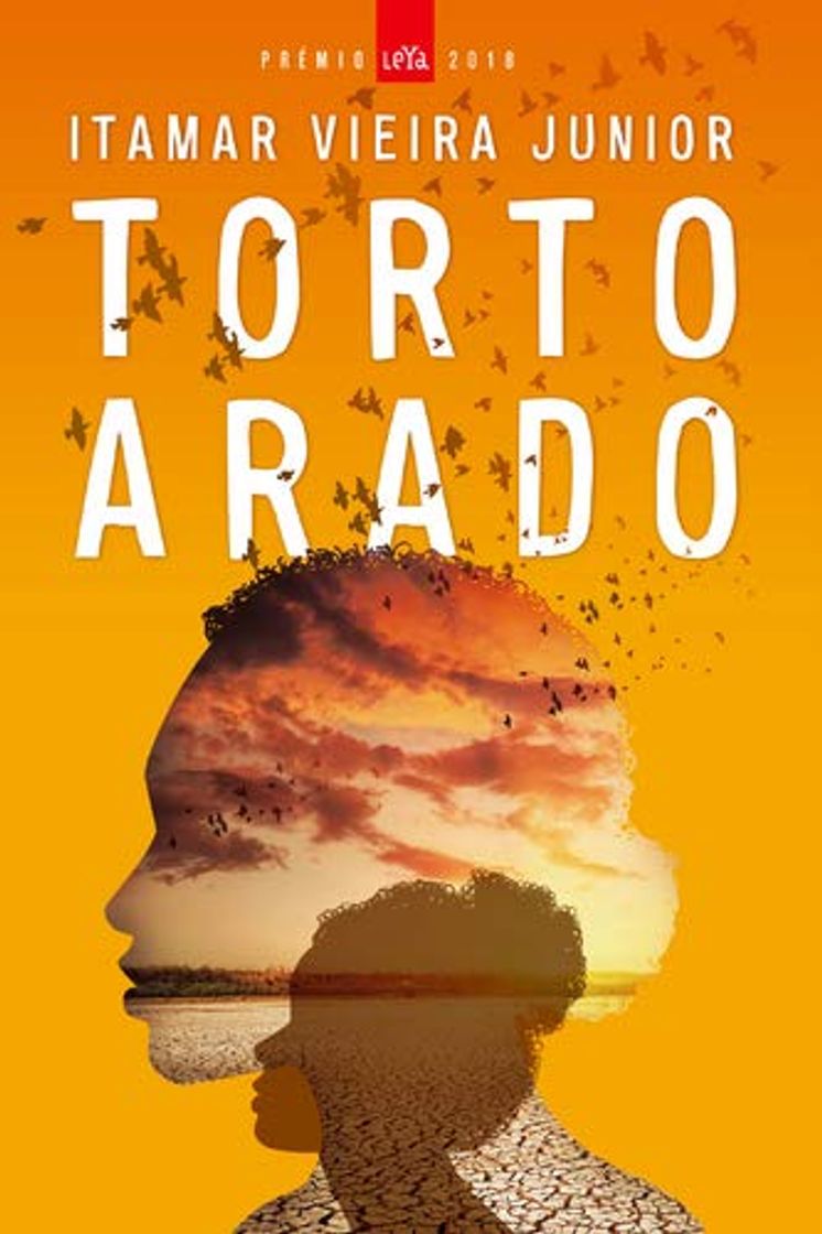 Libros Torto Arado