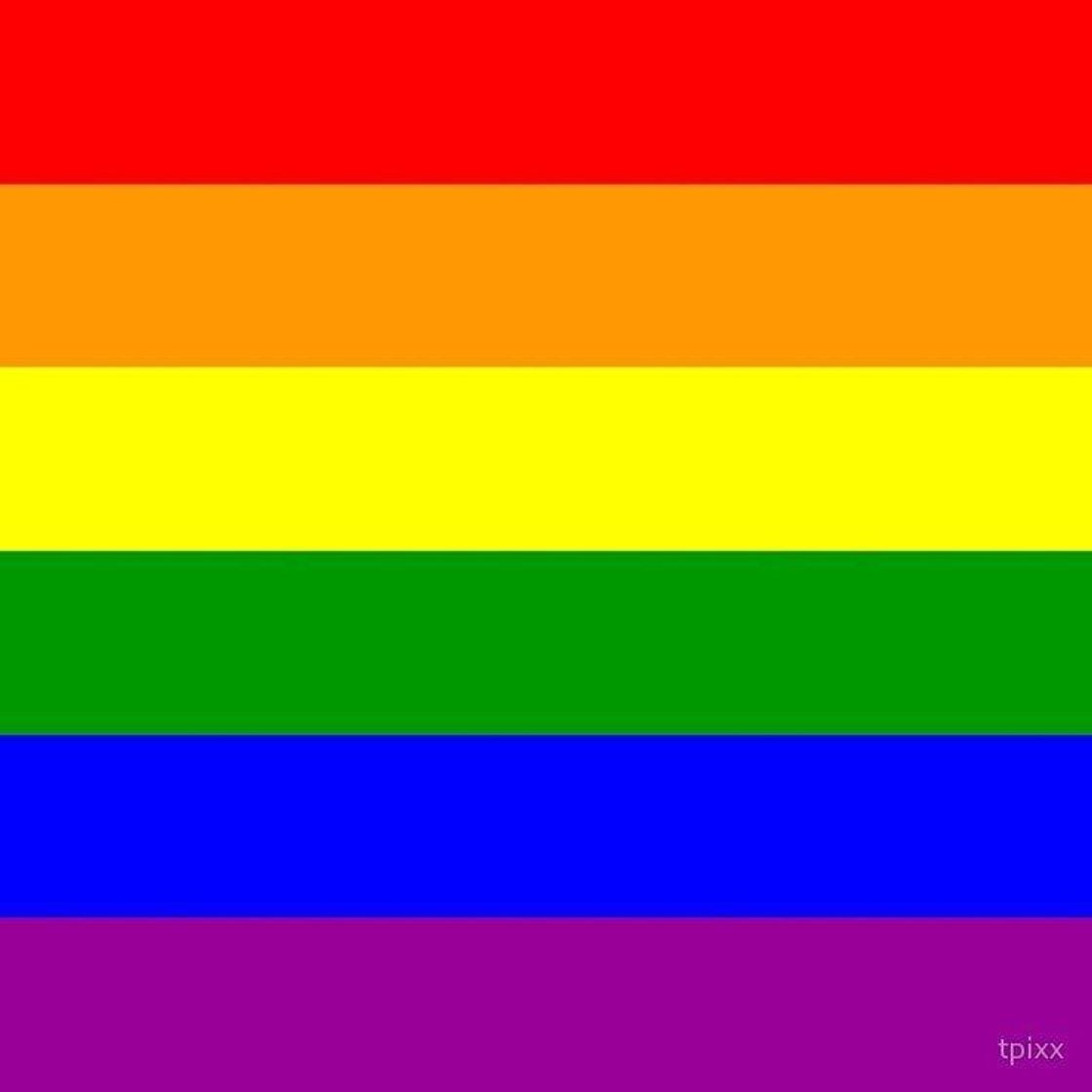 Moda Bandeira LGBTQIA+/ LGBTQIA+ Flag