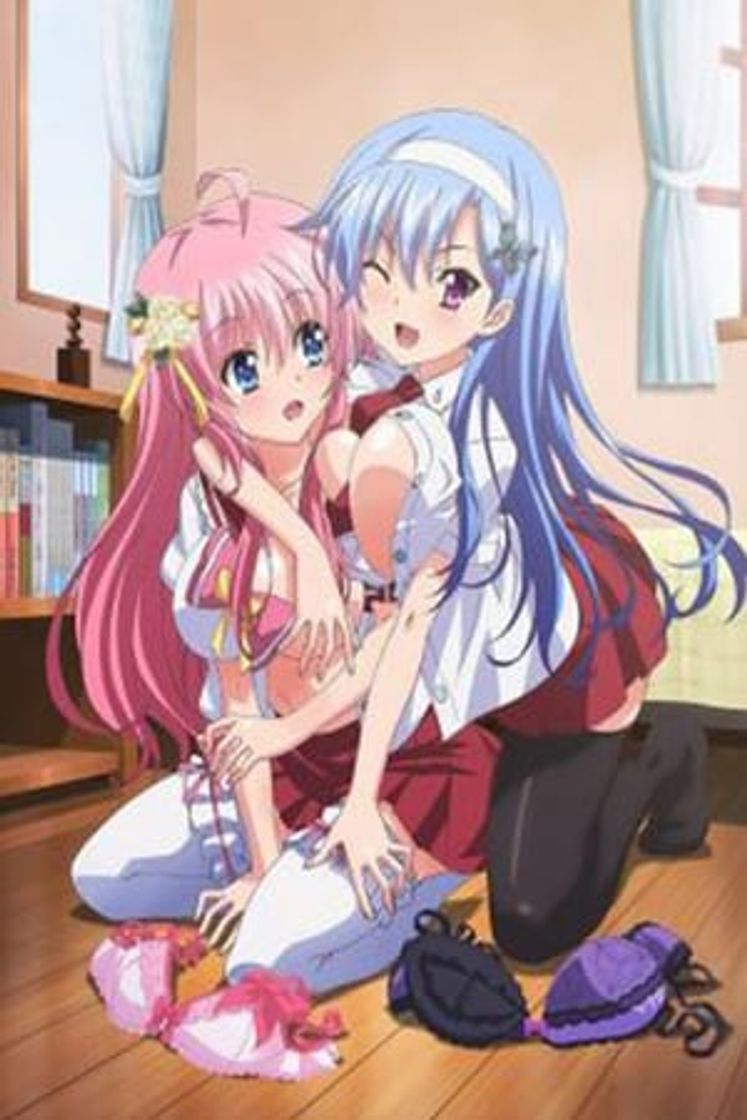 Series Imouto Paradise! 2