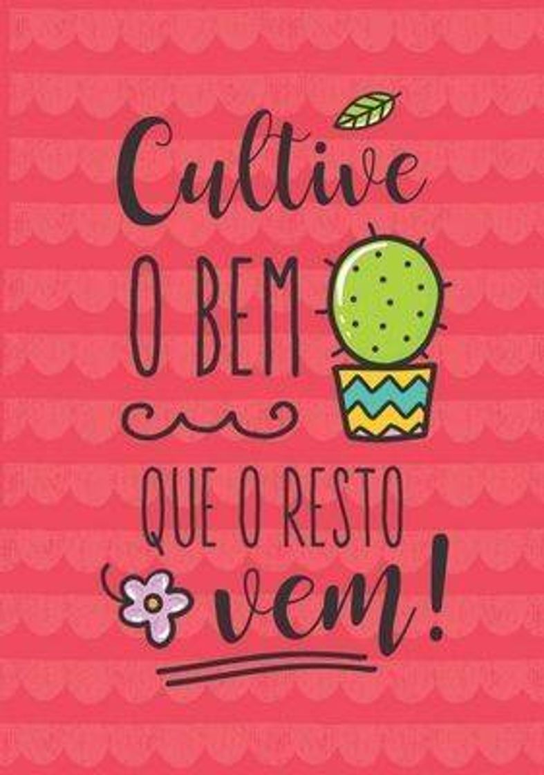 Social Lettering 