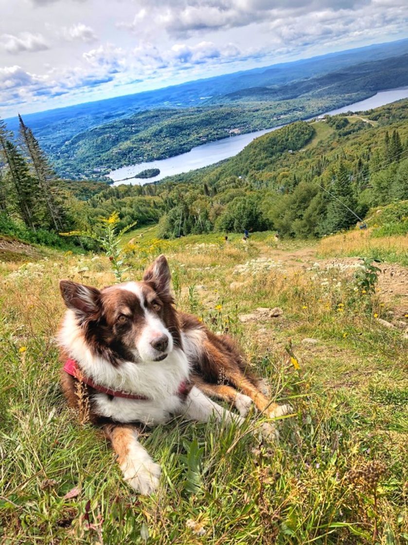 Place Mont Tremblant