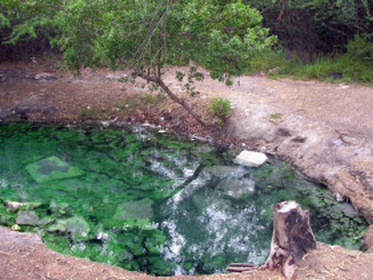 Place Aguas Termales de Canoa